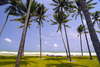 Jivana Villas 